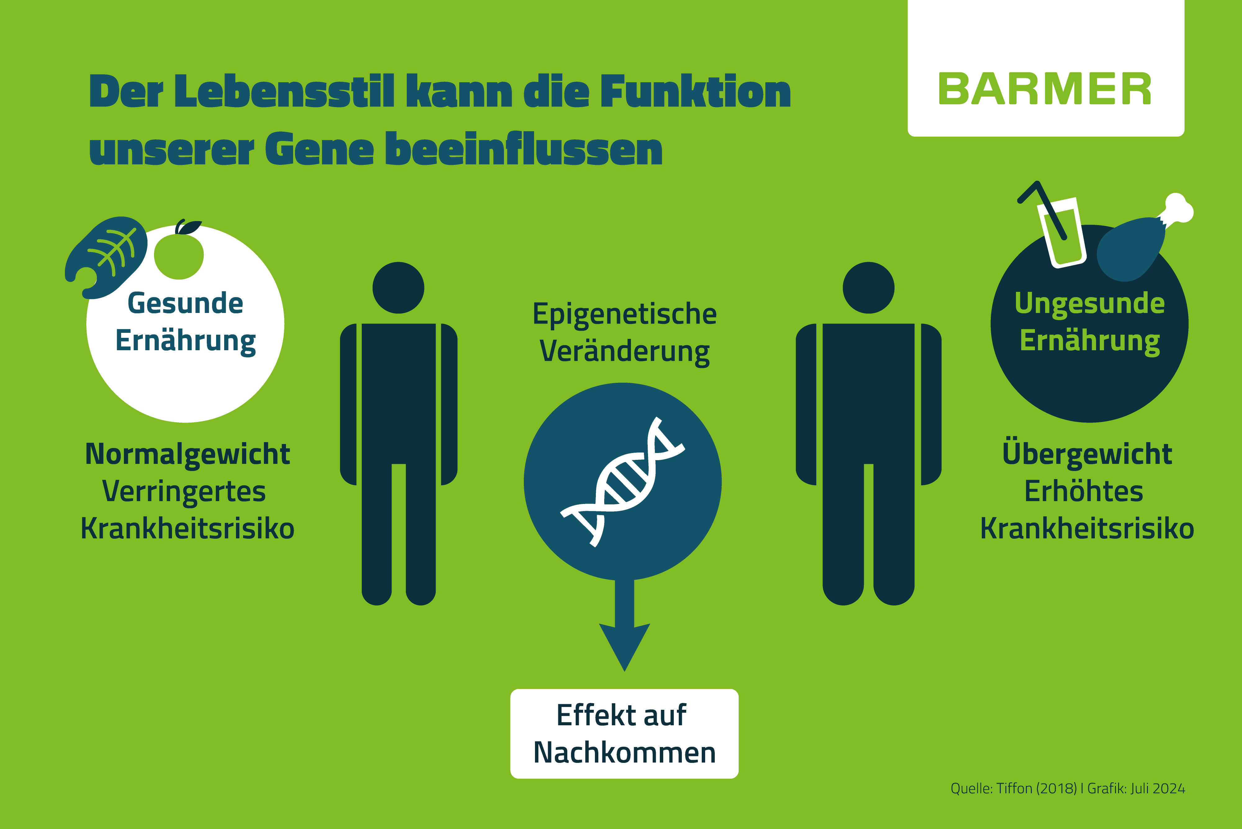 Infografik Epi-Food: Der Lebensstil kann die Funktion unserer Gene beeinflussen