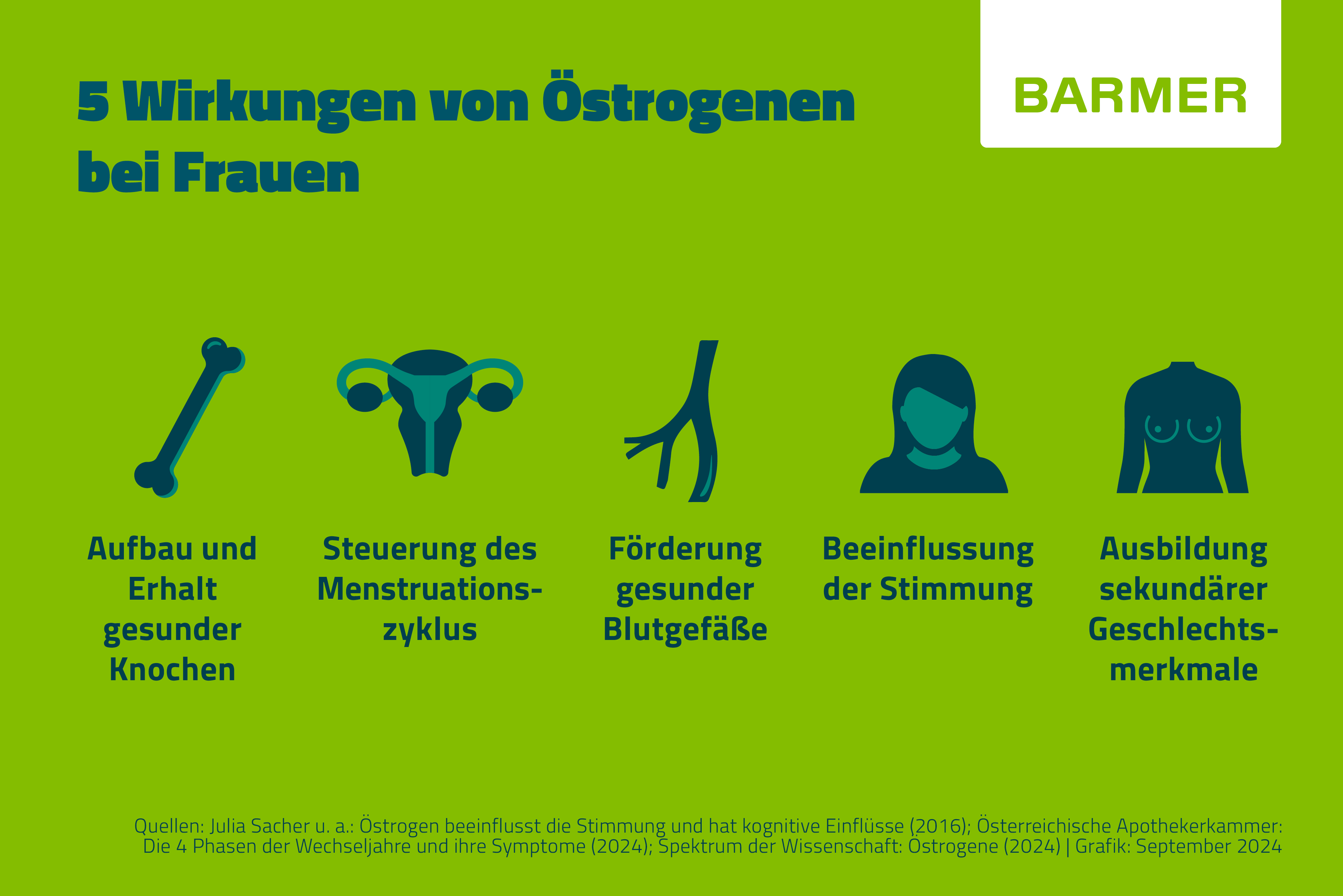 Östrogene haben ganz unterschiedliche Wirkungen im weiblichen Körper: Zum Beispiel beeinflussen Sie die Stimmung und halten die Knochen und Blutgefäße gesund.