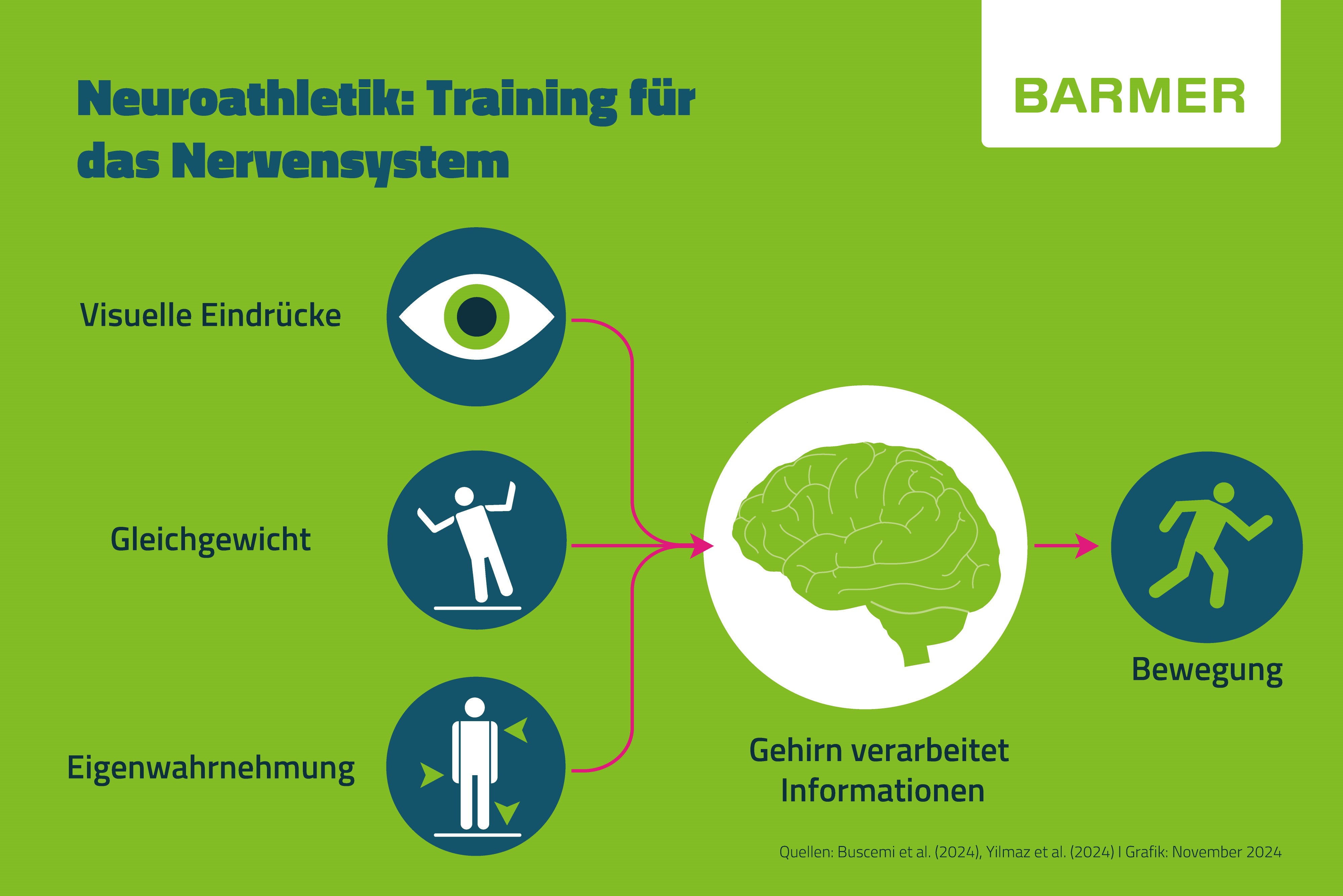 Neuroathletik ist ein Trainingsansatz, der das Gehirn und das Nervensystem in das Training einbezieht und so die Leistungsfähigkeit des Körpers verbessern soll.