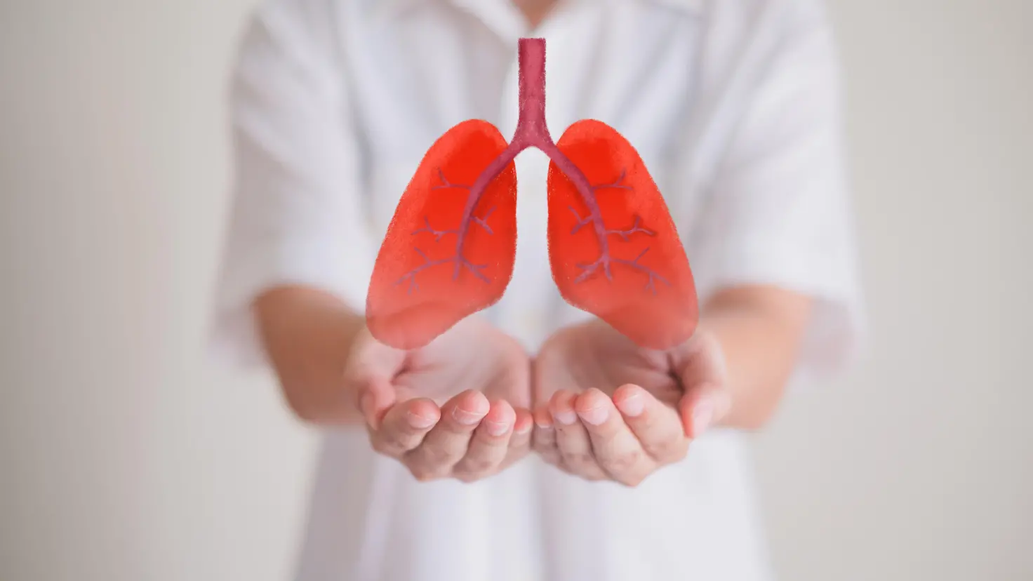 Zu sehen ist ein Bild zur Organspende, auf dem ein Mann ein Symbolbild einer Lunge vor sich hält