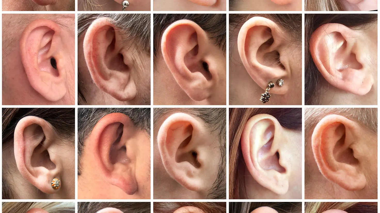 Zu sehen sind Ohren von verschiedenen Menschen 