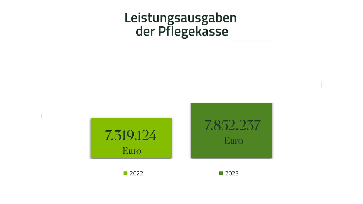 Infografik-Leistungsausgaben der Pflegekasse